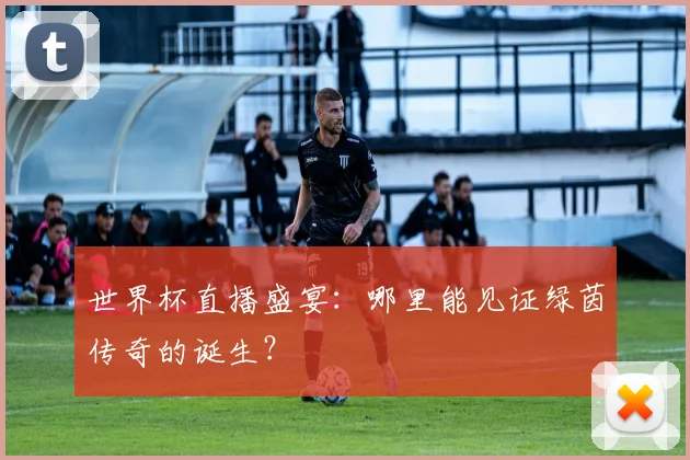 世界杯直播盛宴:哪里能见证绿茵传奇的诞生?