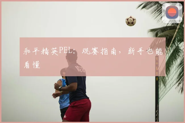 和平精英PEL：观赛指南，新手也能看懂
