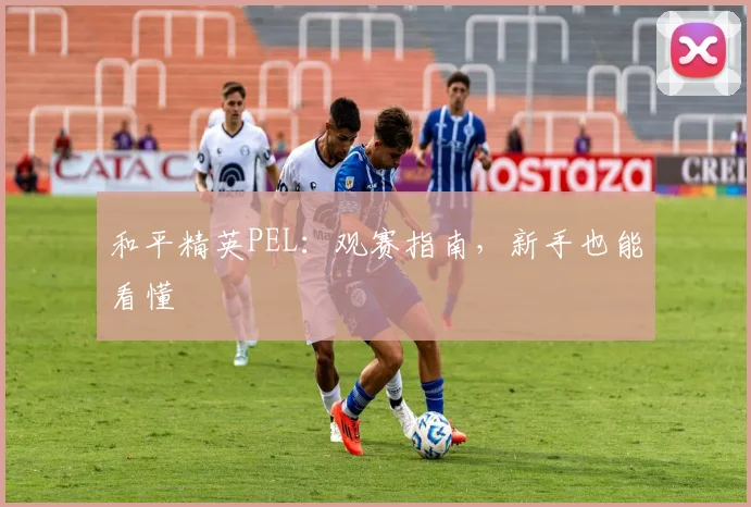 和平精英PEL:观赛指南,新手也能看懂